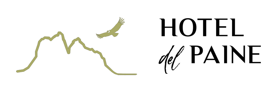 Logo Hotel Del Paine