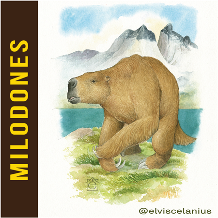 Categ Milodones Mylodones